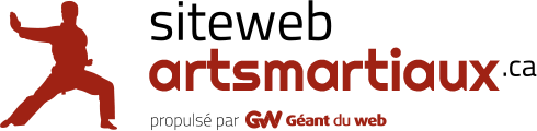 Conception web pour Studios d'arts Martiaux - Géant du web